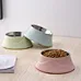 cat elevated bowl